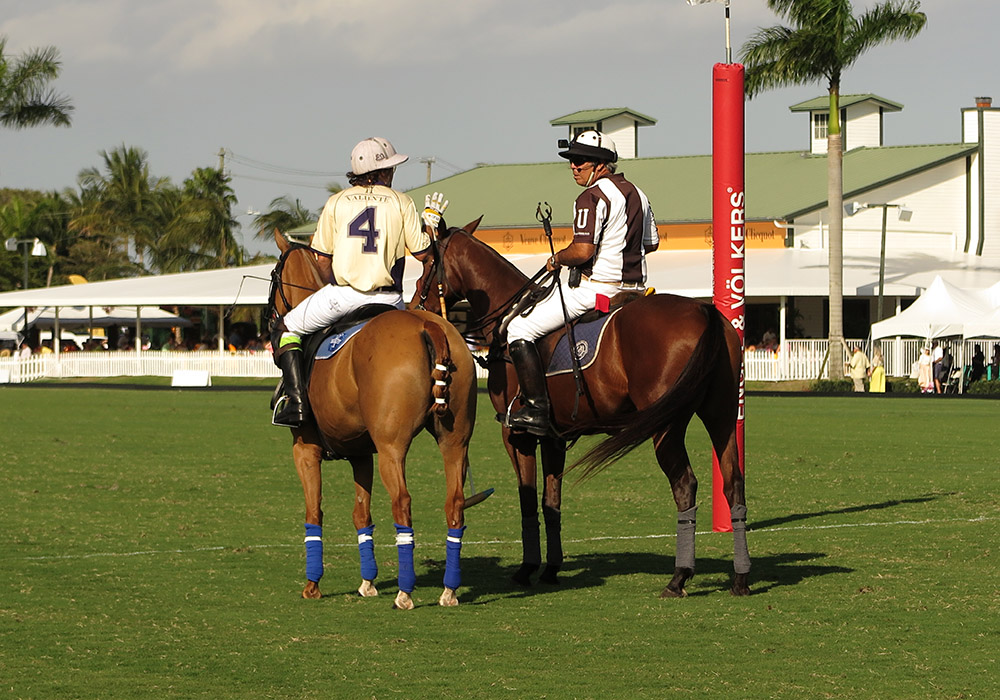 The Officials