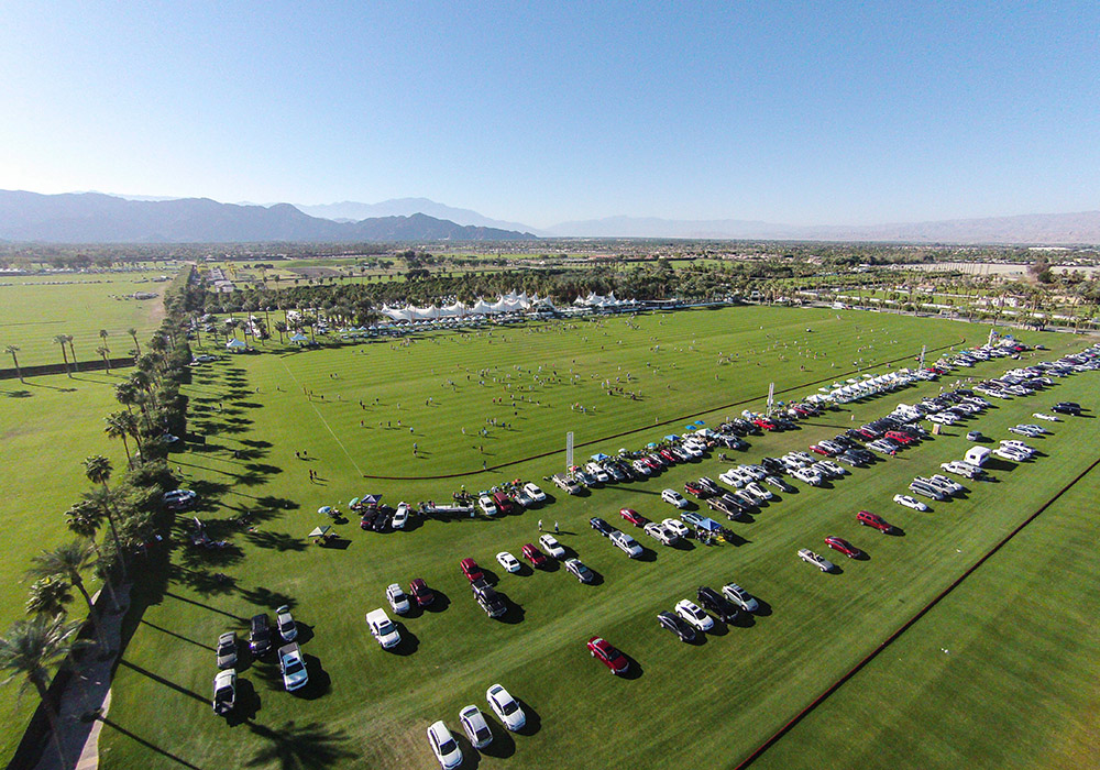 Field of Play 