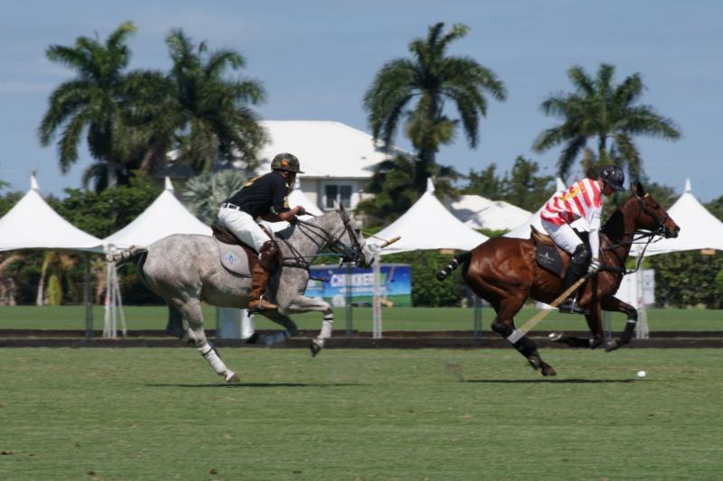 Paul Knapp of Navy avoids the hook of Terrence Donahue of Army.  Photo courtesy ChukkerTV.
