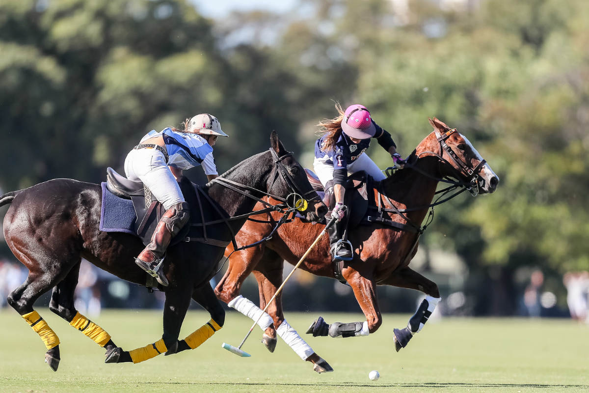 USA's Maureen Brennan on the ball with Argentina's USA's Maureen Brennan and Milagros Fernández Araujo going for the hook. Photo credit: Matias Callejo/AAP