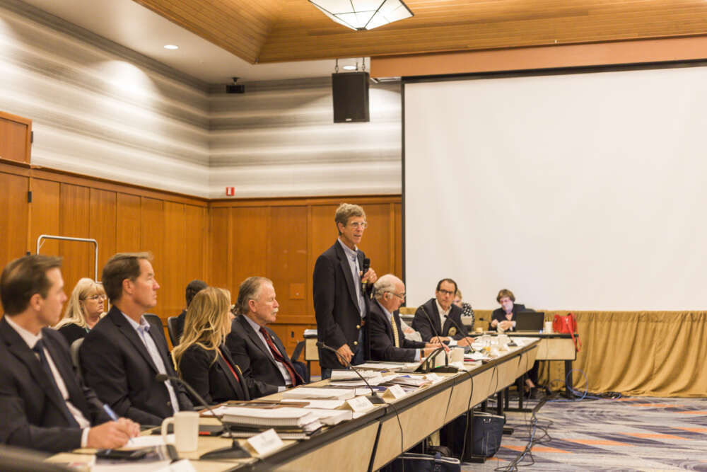 Equine Welfare Committee Chairman Mark Sedacca addresses the Board.