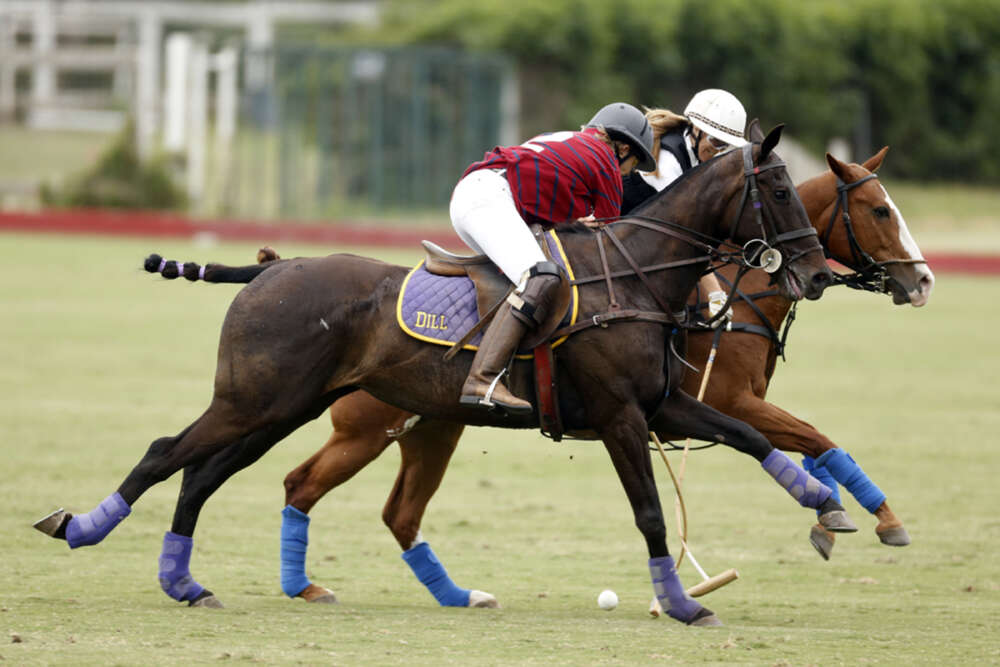 Judith Baker hooks on the nearside. ©David Lominska
