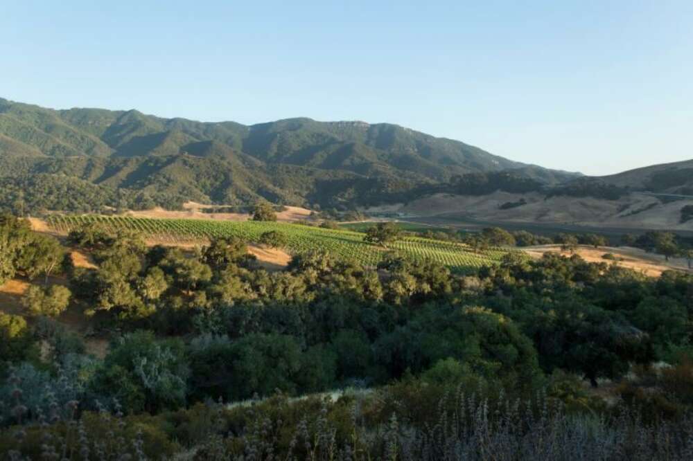 One of the breathtaking views at Folded Hills Vineyard.
