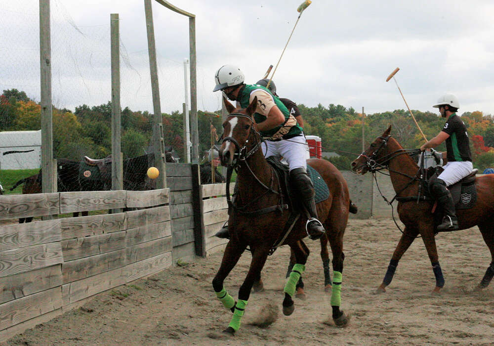 AVID's Federico Wulff attempts to play the ball on a rebound.