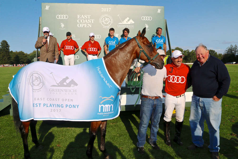 Best Playing Pony Machitos Tere. Owned and played by Mariano Aguerre. ©Peter T. Michaelis. 