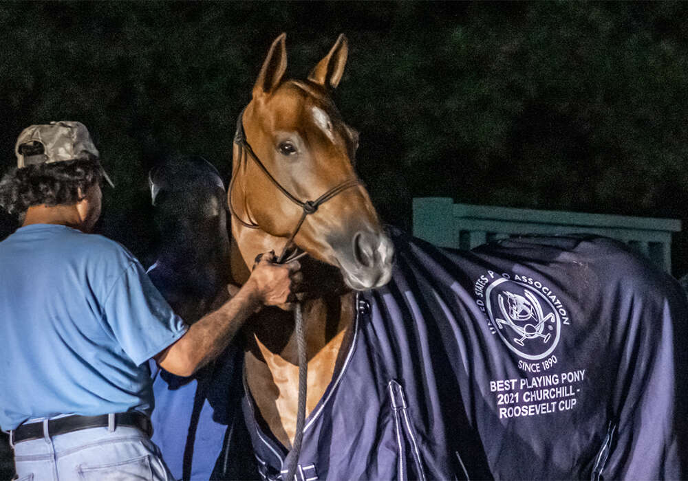 Best Playing Pony was awarded to Sonoma, played by Alex Jenkins and owned by Del Walton.