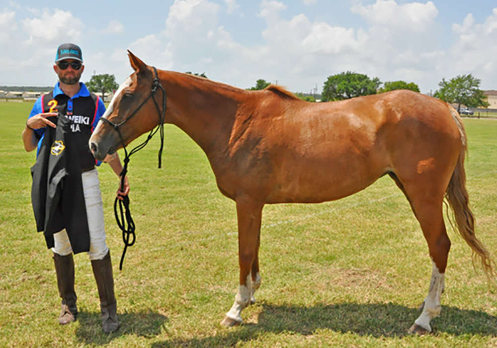 Best Playing Pony was awarded to Nugget, owned and ridden by Trey Crea. ©Susana Baird