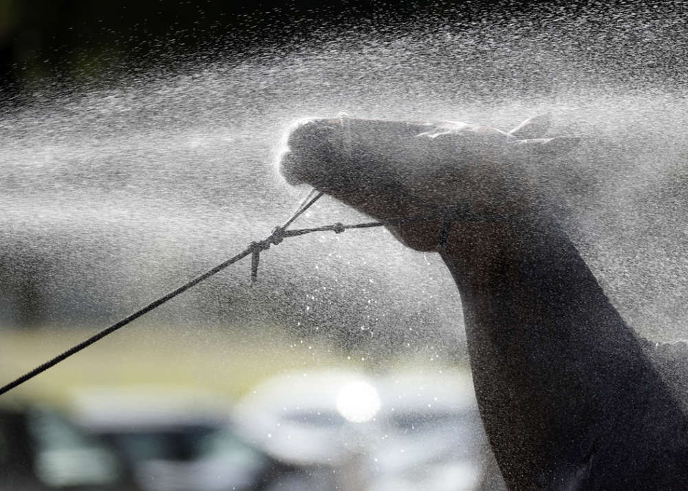 Cooling off after the game. 