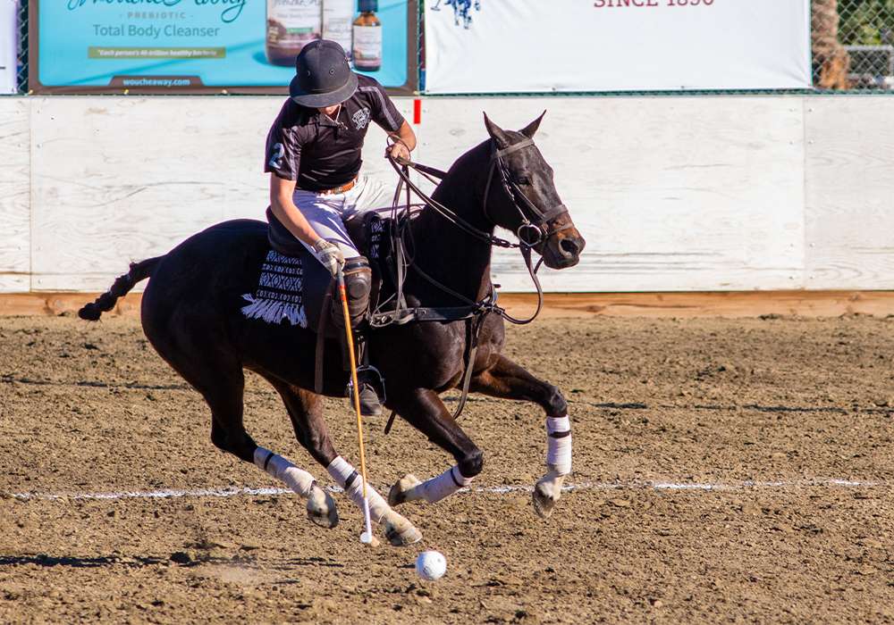 Dallas Polo's Will Walton is looking forward to furthering his polo career.