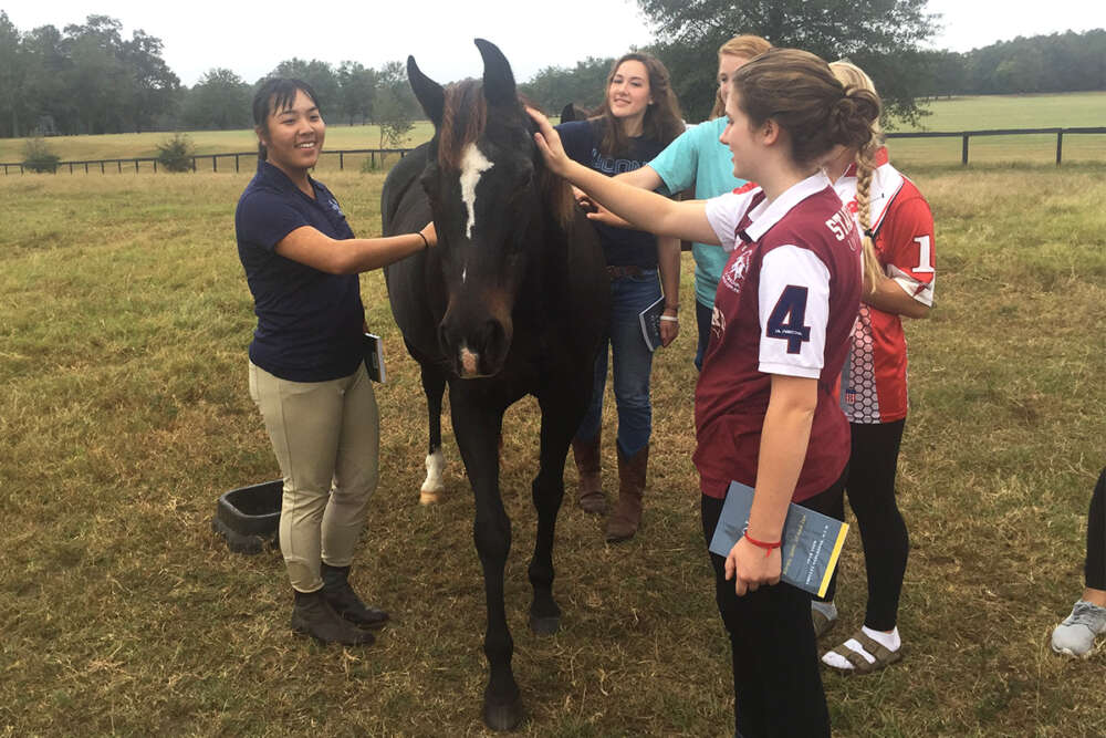 Participants meeting Hale Bopp.