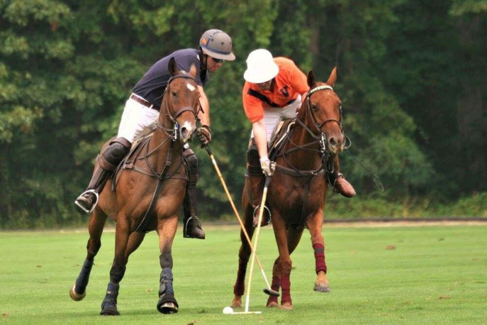 Harriman Cup