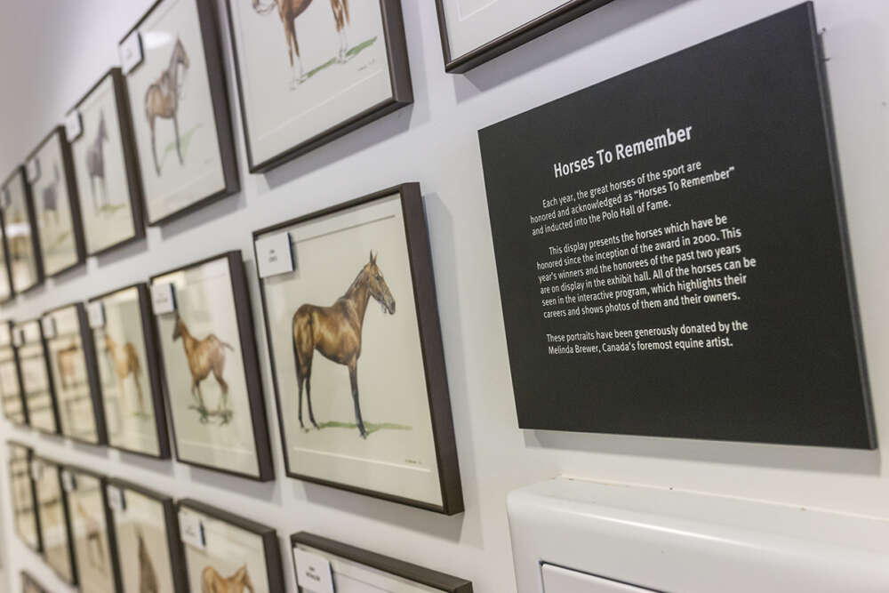 horses to remember