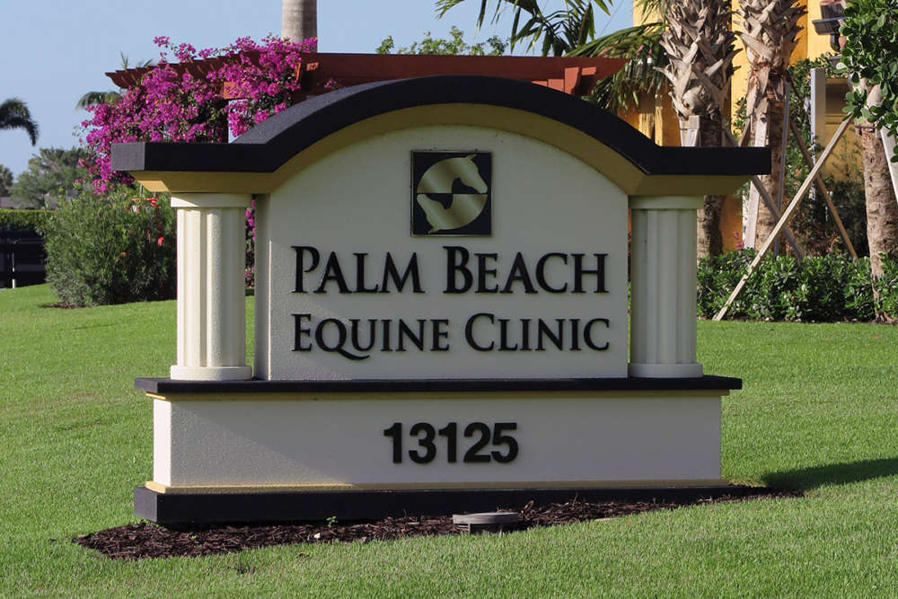 Palm Beach Equine