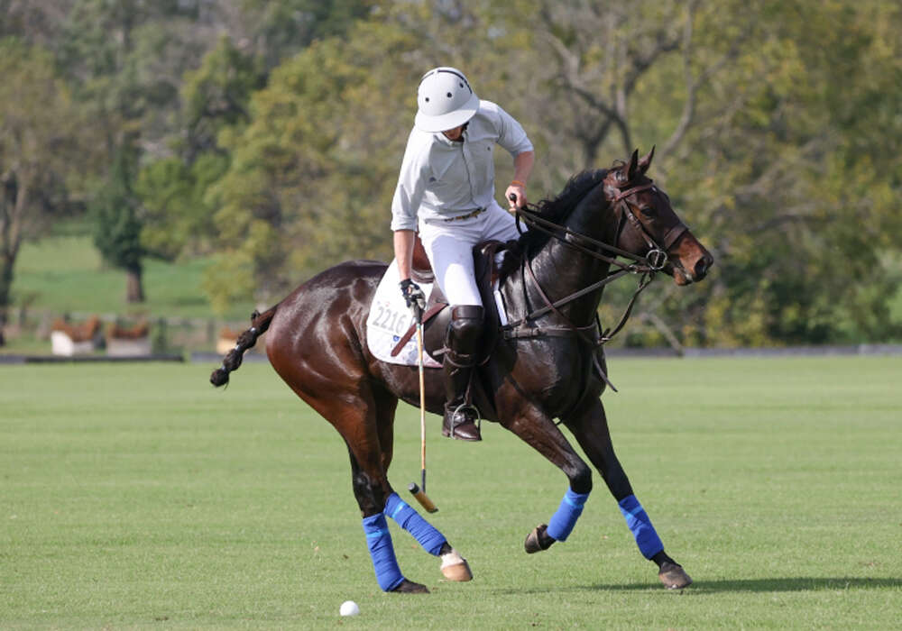 Ramses and Benjamin Lynch.
