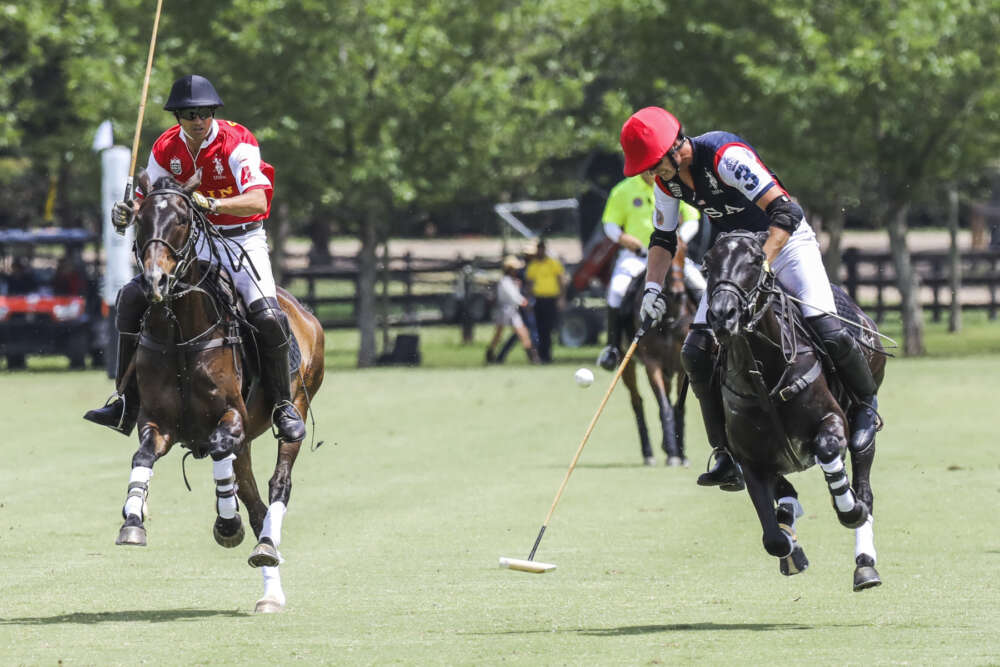 USA's Felipe Viana.
