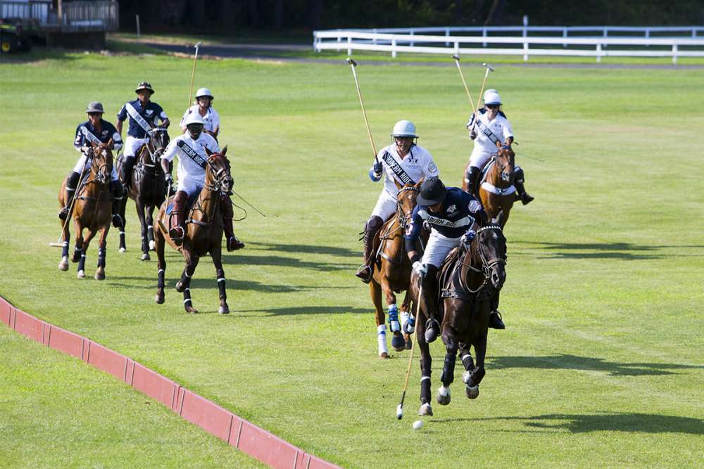 Grass polo action at Farmington Polo Club.