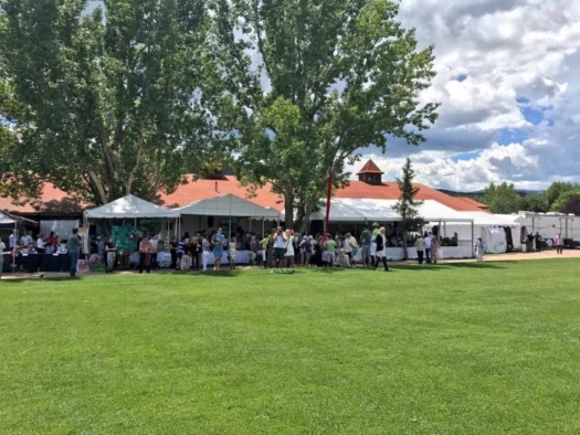 A record crowd for Sunday's final and Aspen Valley Hospital Foundation fundraiser.