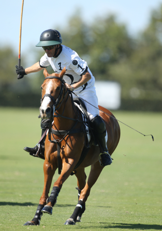In just two years, Bill Ballhaus and Beverly Polo have made five 18-goal finals appearances.