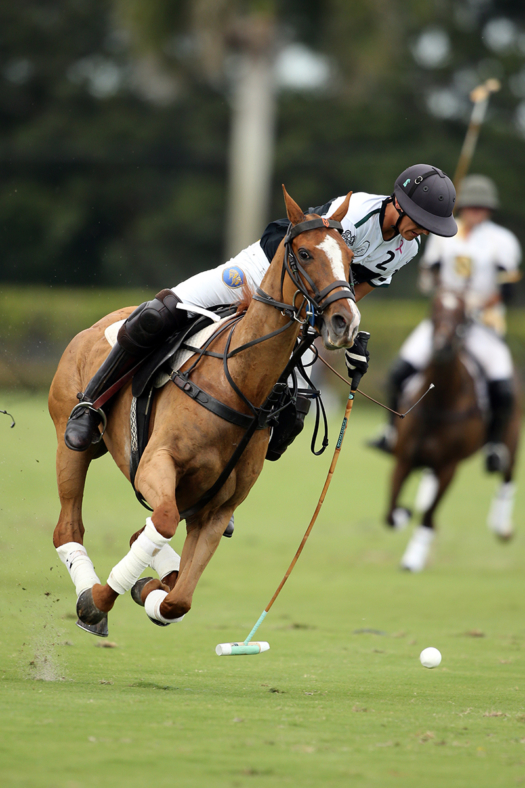 Beverly Polo's Joaquin Panelo filled in admirably for Peke Gonzalez and Lucas Diaz Alberdi.