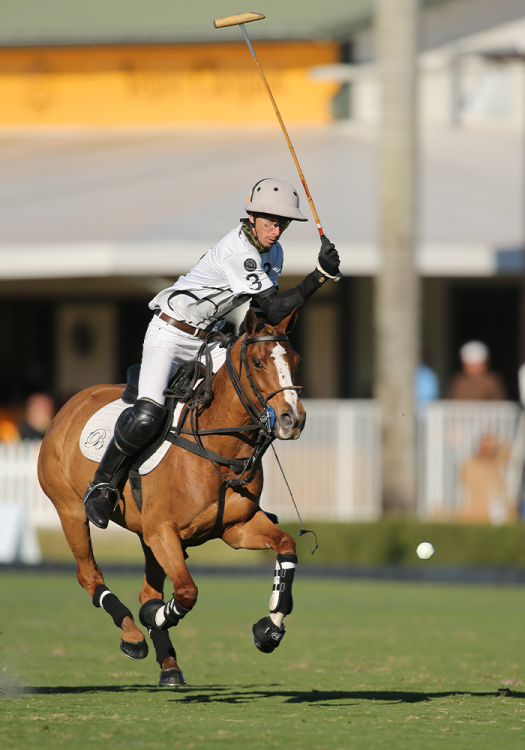 Beverly Polo's Jorge "Tolito" Fernandez Ocampo Jr. finished the Ylvisaker Cup with a team leading twelve goals.