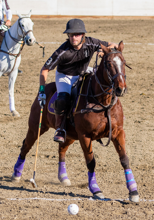 Renting horses from George Dill, Rob Payne's string was crucial to Dallas Polo's victory.