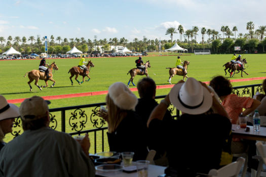 Empire Polo Club All You Need To Know Before You Go 2024