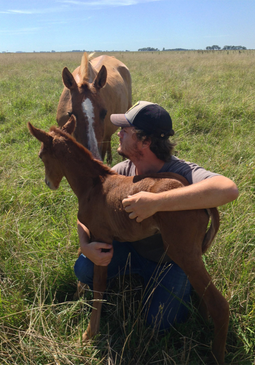Born and raised in the polo mecca of Buenos Aires, Argentina, Del Sel's equestrian love affair began at an early age.