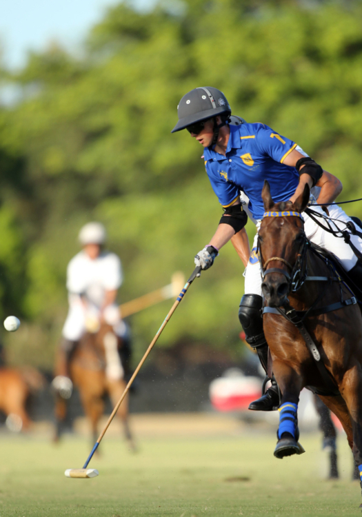 Whitman will be returning to Wellington, Florida to compete in the winter 2022 season. ©David Lominska