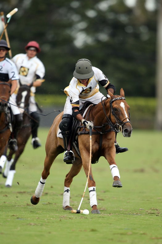 Palm Beach Equine's Costi Caset focused on the ball.