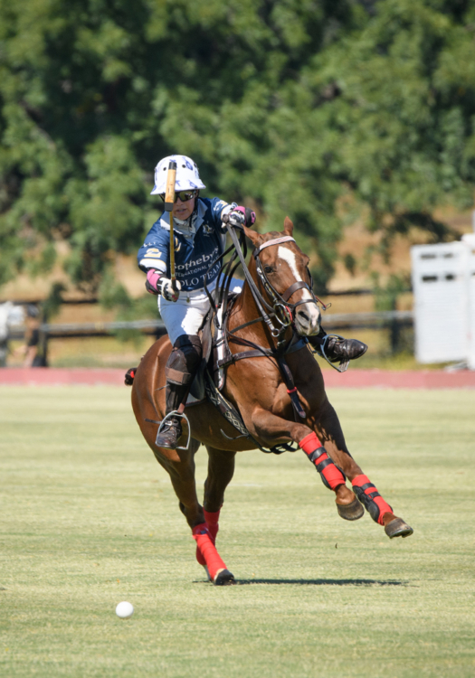 Dawn Jones riding on Nicola, named the Pacific Coast Circuit Women's Challenge A-Flight's Best Playing Pony.